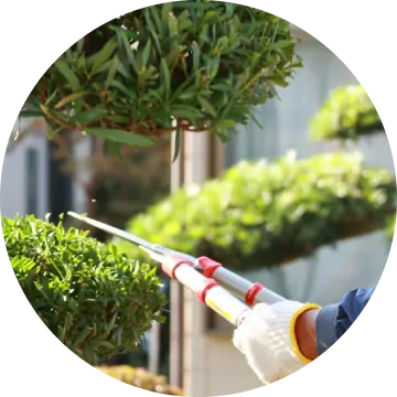 花壇/菜園イメージ